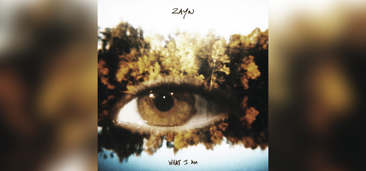 GEKRAAKT: ZAYN - What I Am