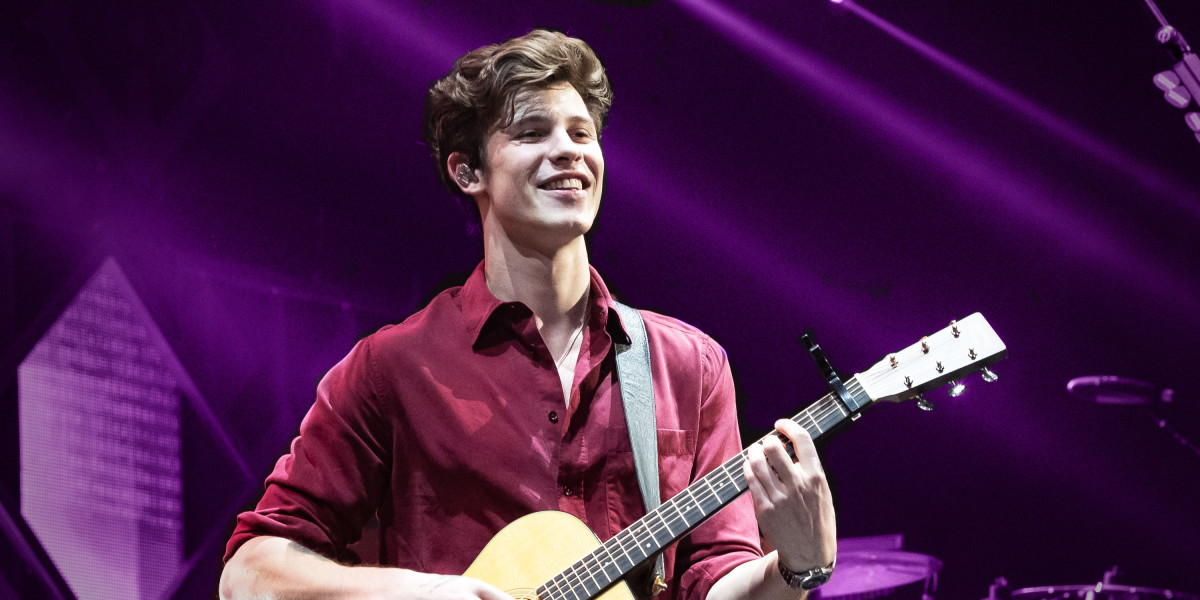 ANP- Shawn Mendes paars